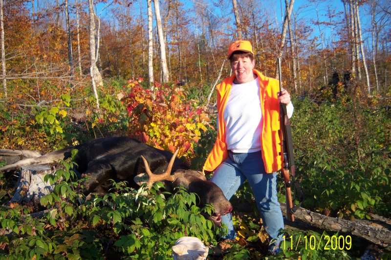 Moose bagged in northern Maine.