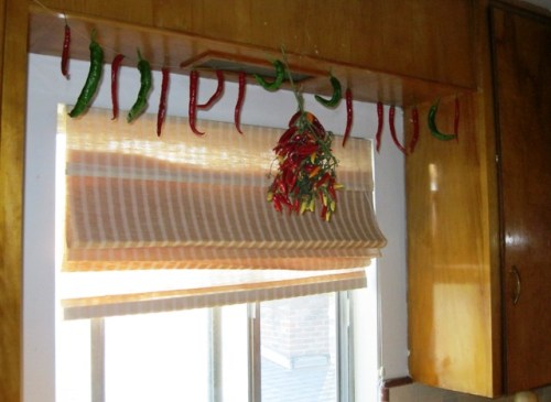 Some of the hot peppers I received from a friend who recieved them in lieu of payment for a graphic design project.